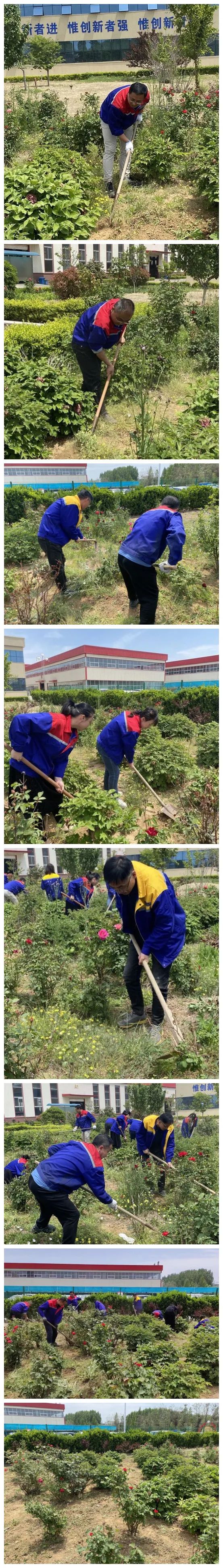 青島銳智黨支部開展“清除雜草 美化環(huán)境”主題黨日活動(dòng) 青島銳智黨支部開展“清除雜草 美化環(huán)境”主題黨日活動(dòng)