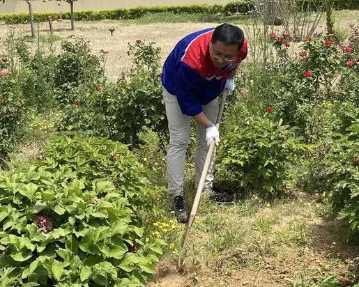 青島銳智黨支部開(kāi)展“清除雜草 美化環(huán)境”主題黨日活動(dòng)